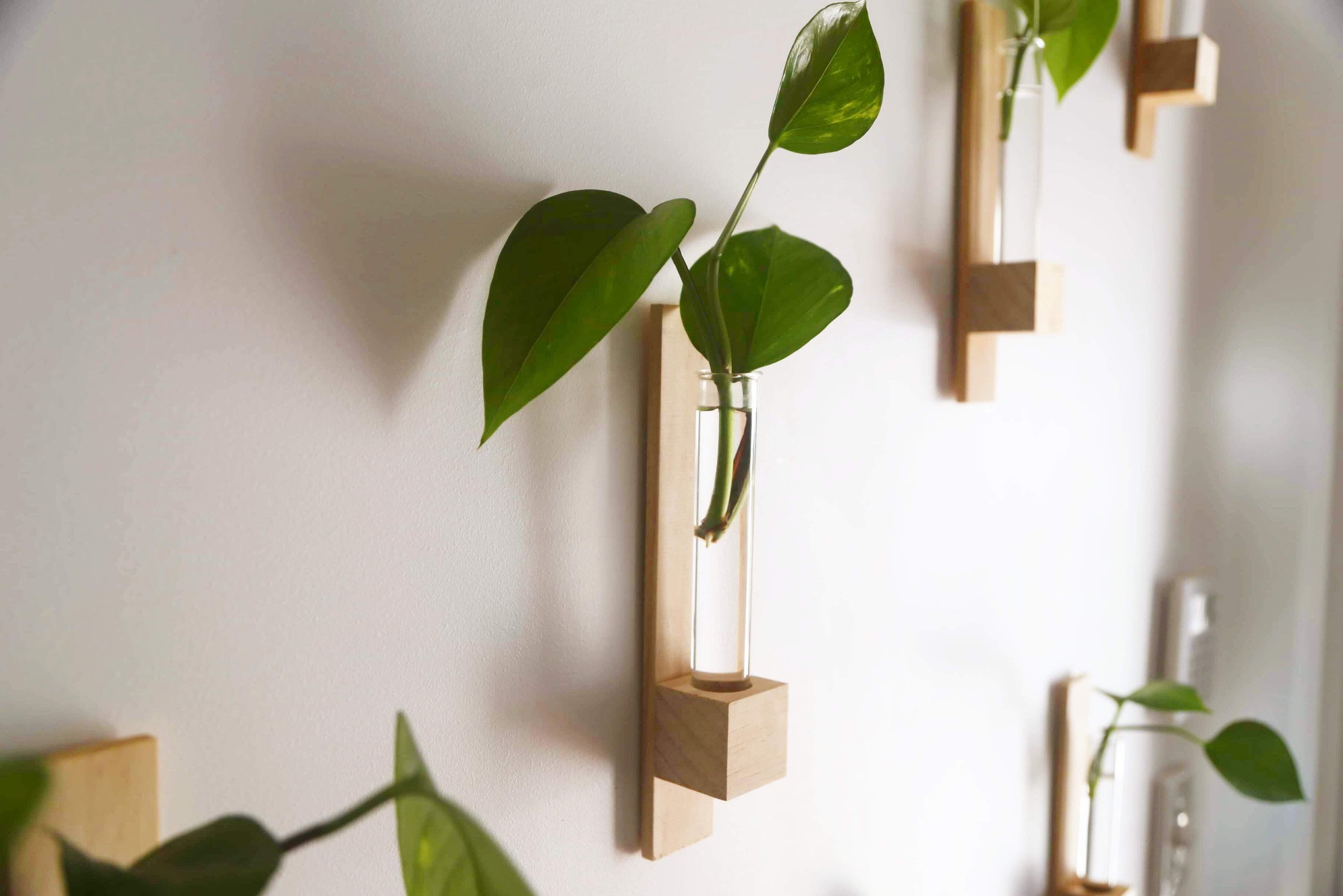 How to Build a Wall-Hanging Test Tube Planter