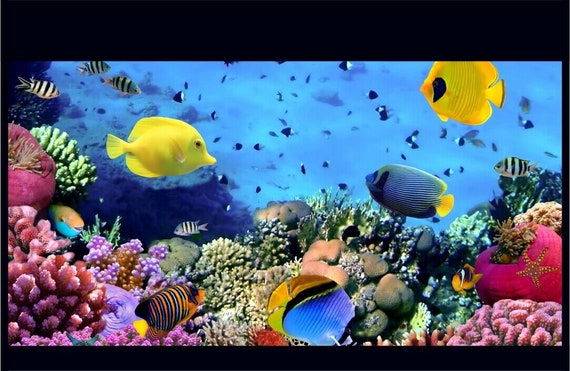 Aquarium/fish Tank 1200MM X 782MM Wall Sticker or Background Large Picture  173 -  Canada