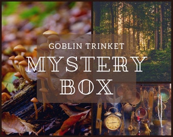 Goblin Trinket Mystery Box! ||| Goblincore Surprise Gift Box, Handmade necklace, Magic Crystal, Crowcore, Whimsigoth, Mushroom, Mushroomcore