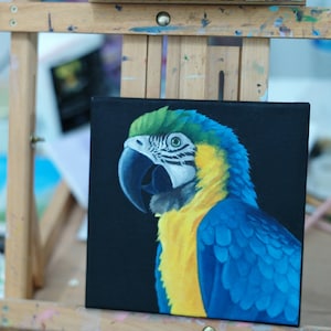 8x8 Oil Painting of a Parrot on canvas, one of a kind, hand painted