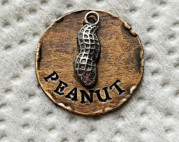 buy white golden retriever puppy