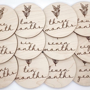 Baby Milestone Photo Props