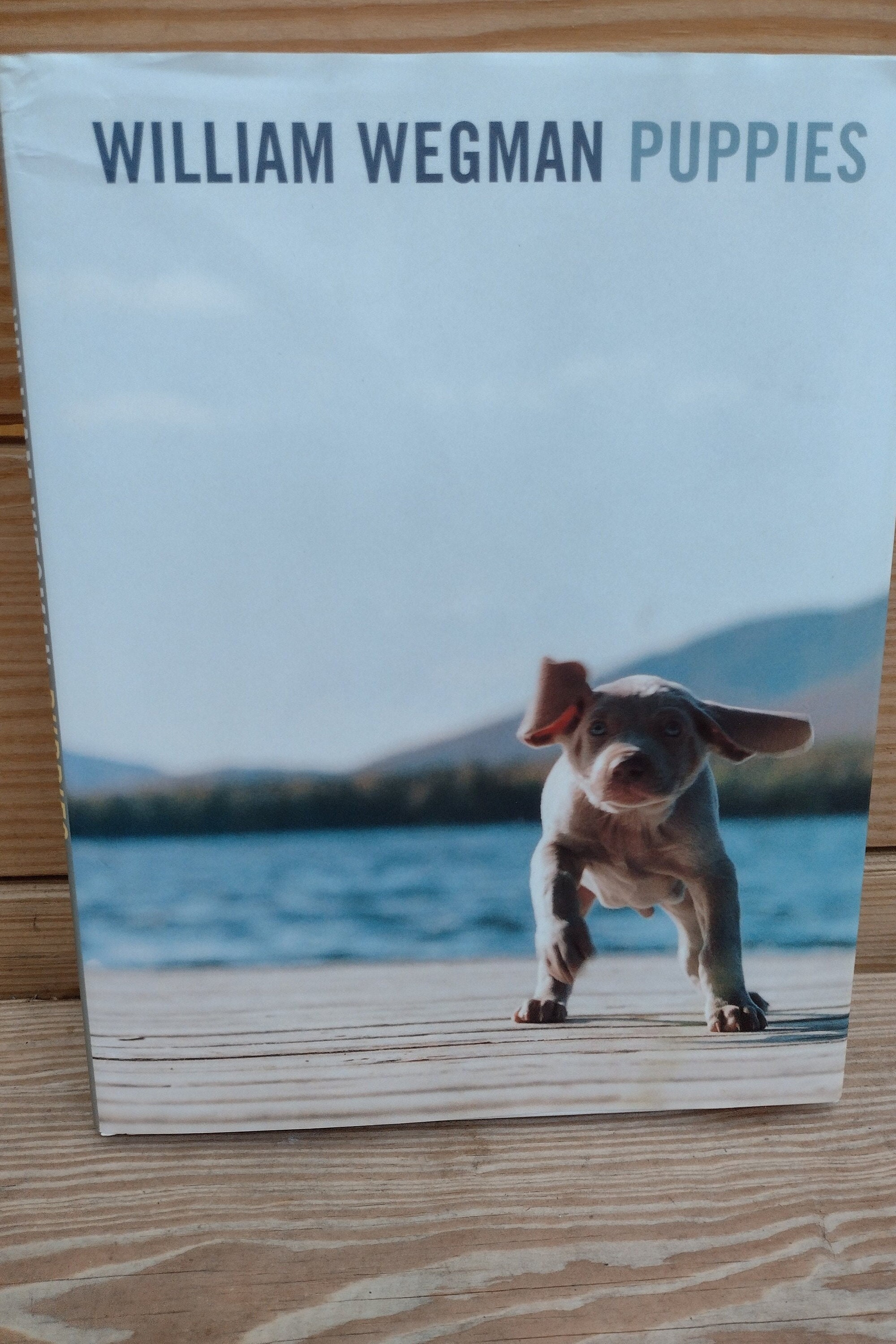 William Wegman2冊まとめ！ William Wegman - Puppies - Weimaraners - 1997 First Edition