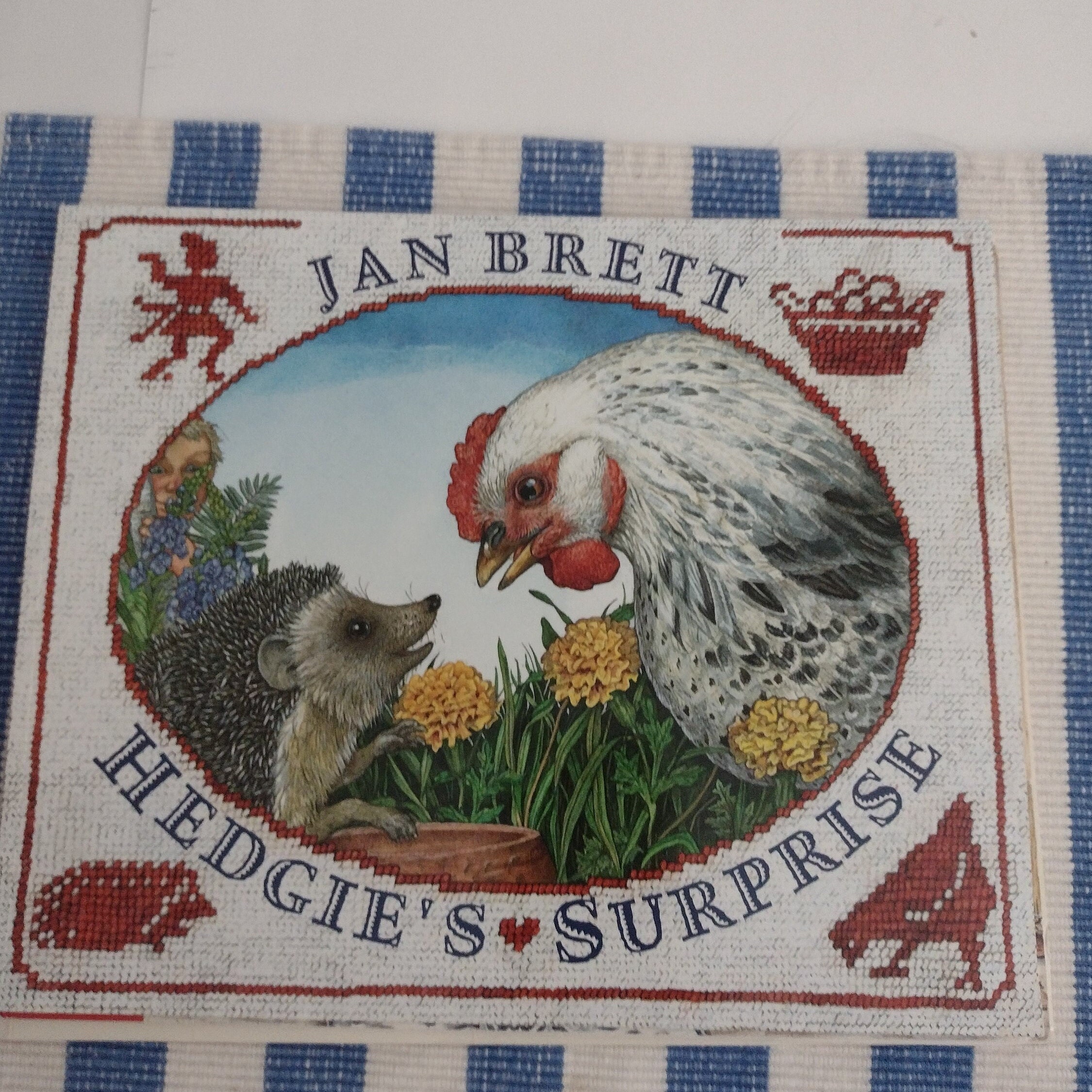 Jan Brett Armadillo Rodeo Hedgie's Surprise the Hat - Etsy