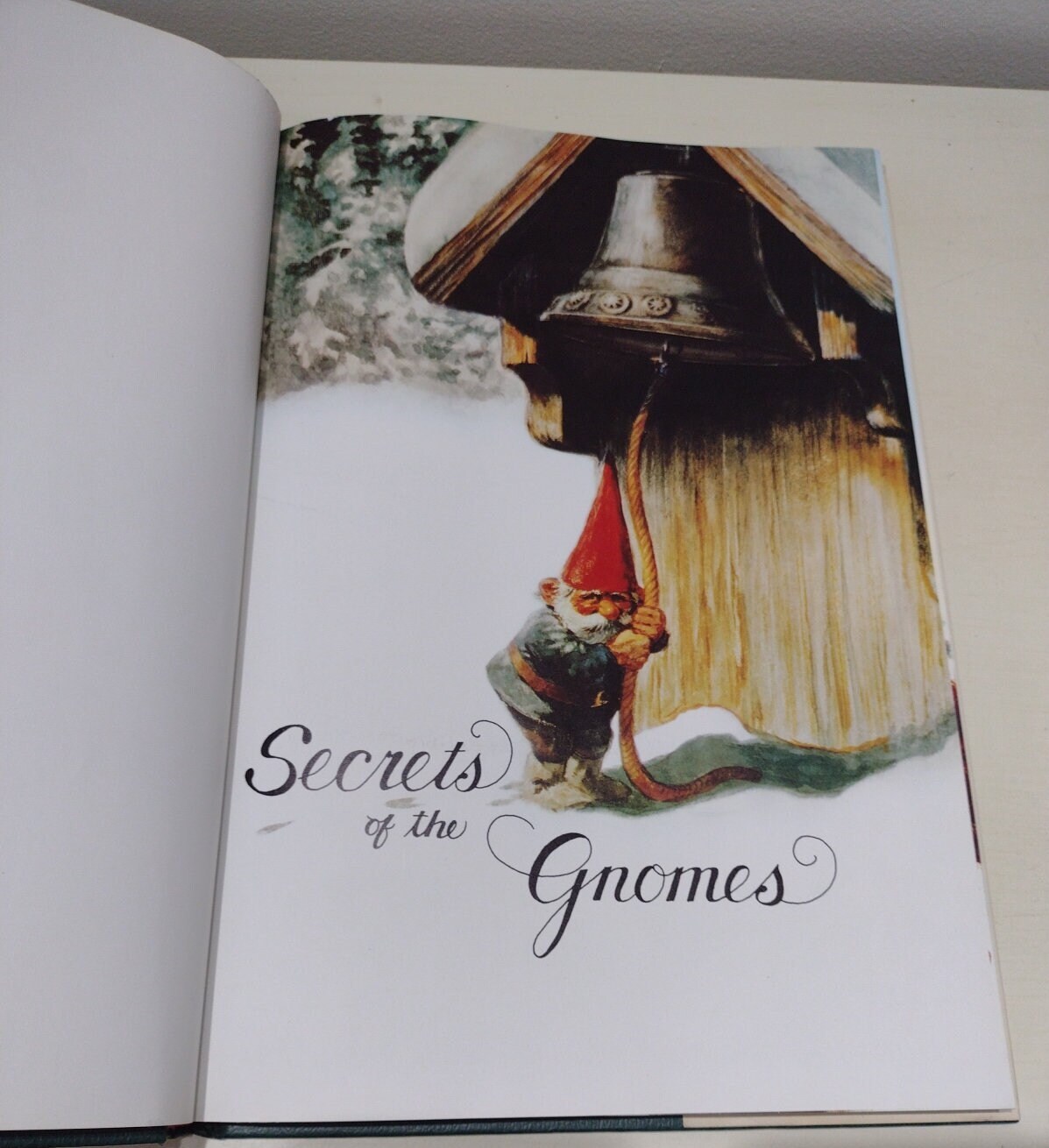 洋書 Secrets of the Gnomes - Rien Poortvliet $_12.JPG?set_id=880000500F