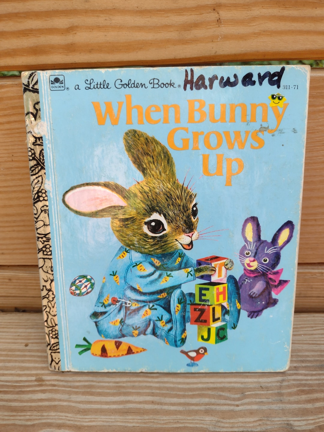 Little Golden Book when Bunny Grows up 1955 Copyright Later Edition