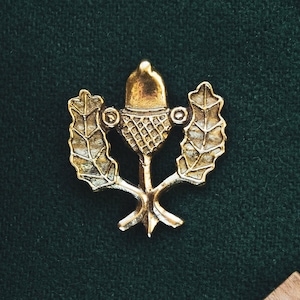 An Acorn Medieval badge replica. Pilgrim pin for a hat or a cloak, for Renaissance costume 14th - 15th centuries.