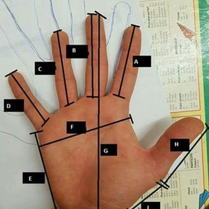 K&ouml;nnte beinhalten: Diagramm einer Hand mit neun beschrifteten Abschnitten, die Messungen f&uuml;r die Handgr&ouml;&szlig;e und die Fingerl&auml;nge zeigen. Die Messungen sind mit den Buchstaben A bis I gekennzeichnet.