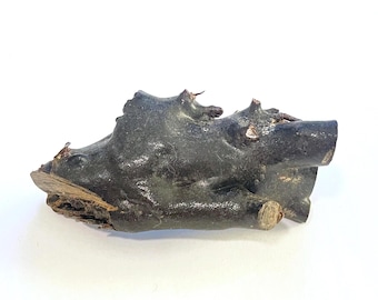 Genuine Natural Hawaiian Black Coral Raw Branch Specimen Harvested in 1980s