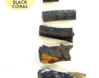 Genuine Natural Hawaiian Black Coral Raw Branches Harvested in 1980s 0.60"-1.50"