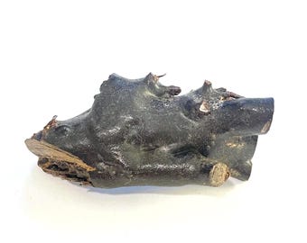 Genuine Natural Hawaiian Black Coral Raw Branch Specimen Harvested in 1980s