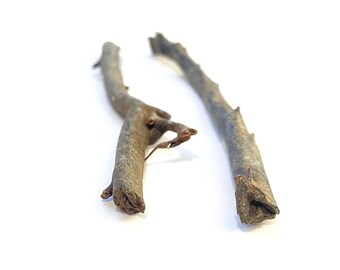 Genuine Natural Hawaiian Black Coral Raw Branches Harvested in 1980s 5.80" 6.25"