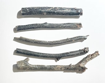 Natural Hawaiian Black Coral Branches: Vintage Jewelry Supplies