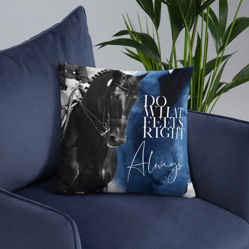 Horse Pillow Cover for Equestrian Gift Horse Decor or Gift Etsy Canada