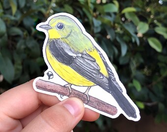 Green Backed Flycatcher Sticker, Bird Sticker, Yellow Bird Sticker, Bird Decal