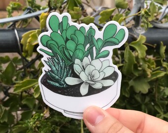 May include: A white sticker with a drawing of a potted succulent plant. The plant has green leaves and white flowers. The pot is white with a black rim.