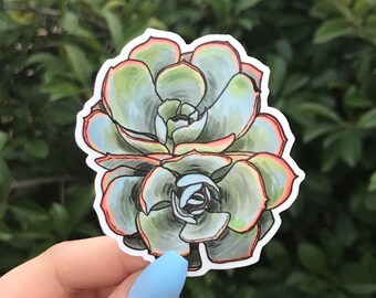 Blue Green Succulent Sticker, Water Bottle Sticker
