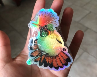 Holographic Hummingbird Sticker