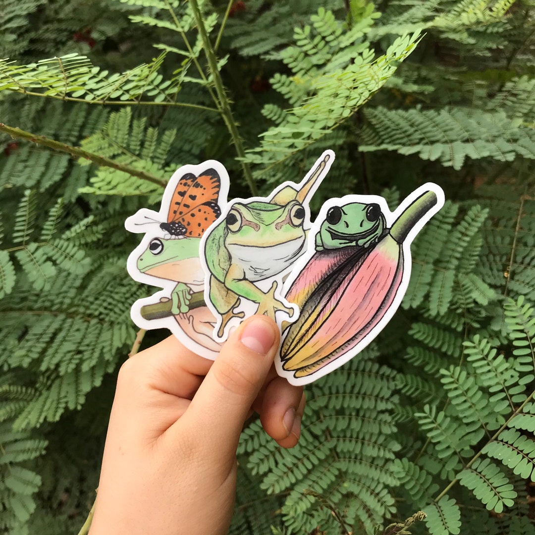 Tree Frog Sticker Frog Sticker Pack, Sticker Bundle - Frog and Butterfly Sticker ...