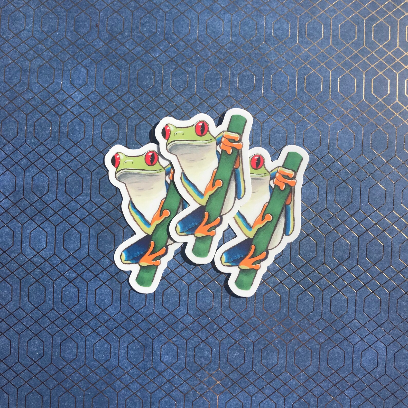 Tree Frog Sticker Red Eyed Tree Frog Sticker Rain Forest Frog Deal Bumper | Etsy
