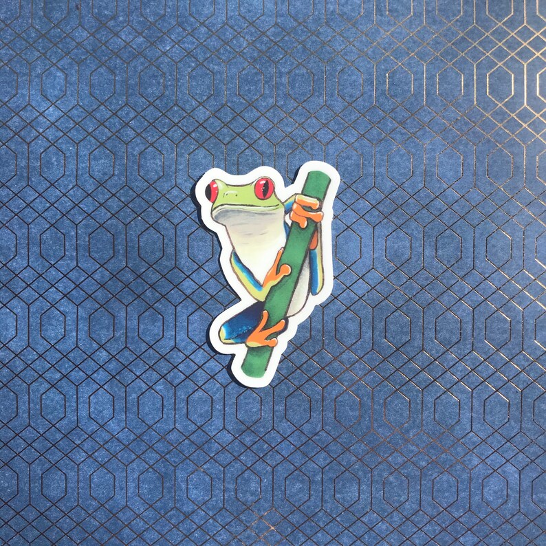 Tree Frog Sticker Red Eyed Tree Frog Sticker Rain Forest Frog Deal Bumper | Etsy