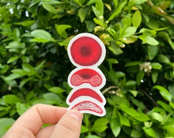 May include: A sticker of a red and white anatomical illustration of a human eye. The eye is shown in cross-section, with the different parts of the eye labeled.