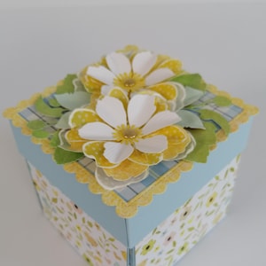 Surprise gift box