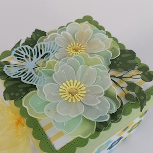 Surprise gift box