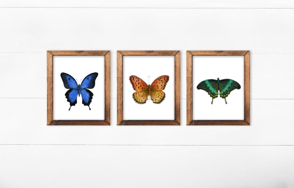 Printable Butterflies Wall Decor Watercolor Butterfly Etsy