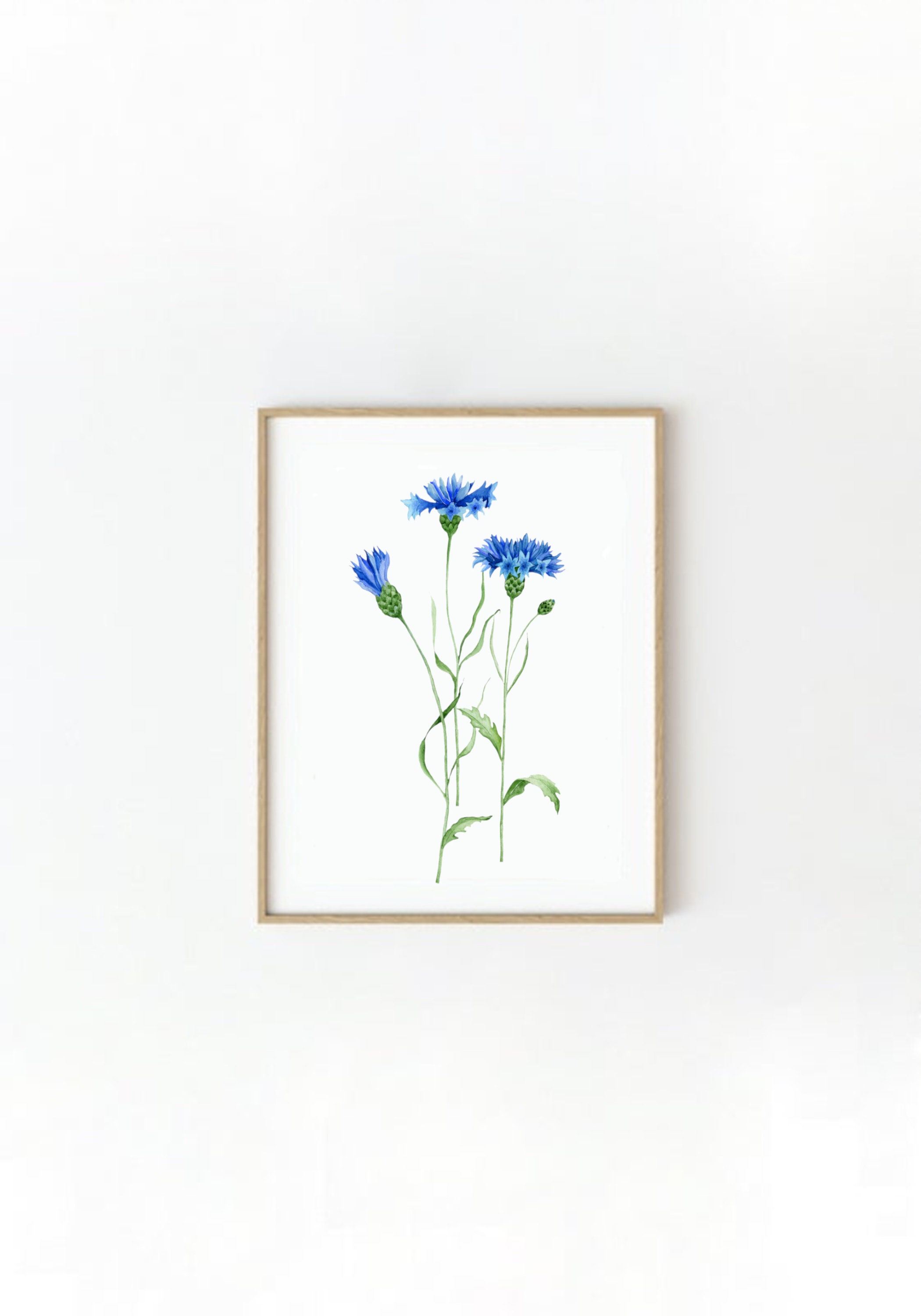 Printable Cornflower Watercolor Art Cornflower Wall Decor Etsy