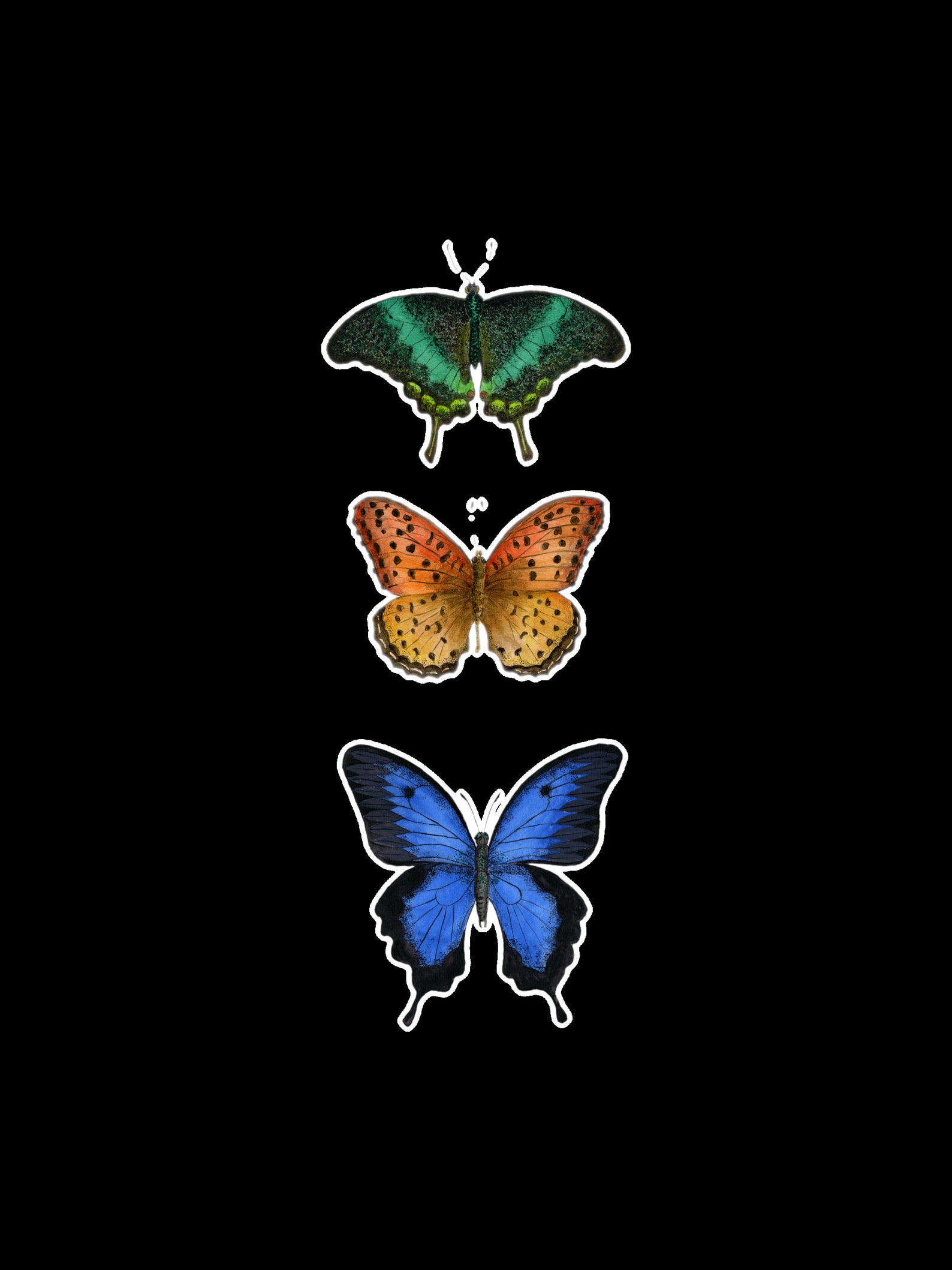 Downloadable Butterfly Collection Printable Butterflies | Etsy
