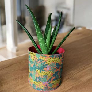 May include: A cylindrical plant pot with a colorful floral pattern, holding a green aloe vera plant. The pot's interior is pink, and it sits on a wooden surface. The aloe vera has long, pointed leaves.