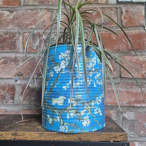 May include: A cylindrical metal planter featuring a blue background with a printed pattern of white almond blossoms on brown branches. A green and white variegated dracaena plant with long, thin, pointed leaves grows out of the top of the container.