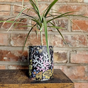 Könnte beinhalten: Eine Zimmerpflanze in einem Topf mit langen, grün-weiß gestreiften Blättern. Die Pflanze steht in einem schwarzen Zinn-Pflanzgefäß mit einem farbenfrohen Blumendesign mit weißen, rosa, gelben und blauen Blumen. Der Hintergrund ist eine Backsteinmauer.