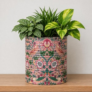 May include: A cylindrical metal planter featuring a vibrant pink background with a repeating pattern of birds, flowers, and berries in shades of green, white, and red. The planter contains three distinct green houseplants with varied leaf shapes.