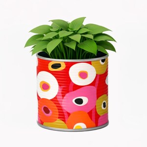 May include: A cylindrical metal container with a vibrant red background featuring a pattern of large, abstract circular shapes in white, pink, orange, and yellow. A lush, green leafy plant grows out of the top of the container.