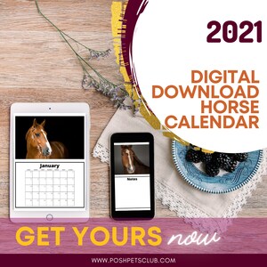 2021 Horse Calendar Printable Calendar Digital Print File | Etsy