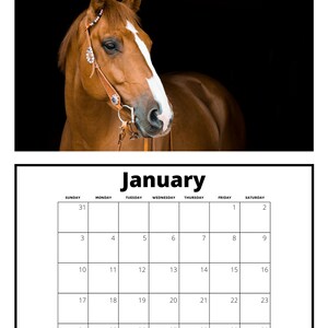 2021 Horse Calendar Printable Calendar Digital Print File | Etsy