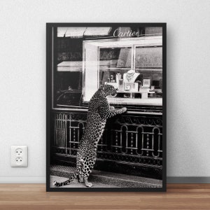 Panther außerhalb Schmuckladen Druck Geparden im Schmuckladen Poster schwarz weiß Vintage Fotografie Mode Druck 1950er Jahre Digital Download