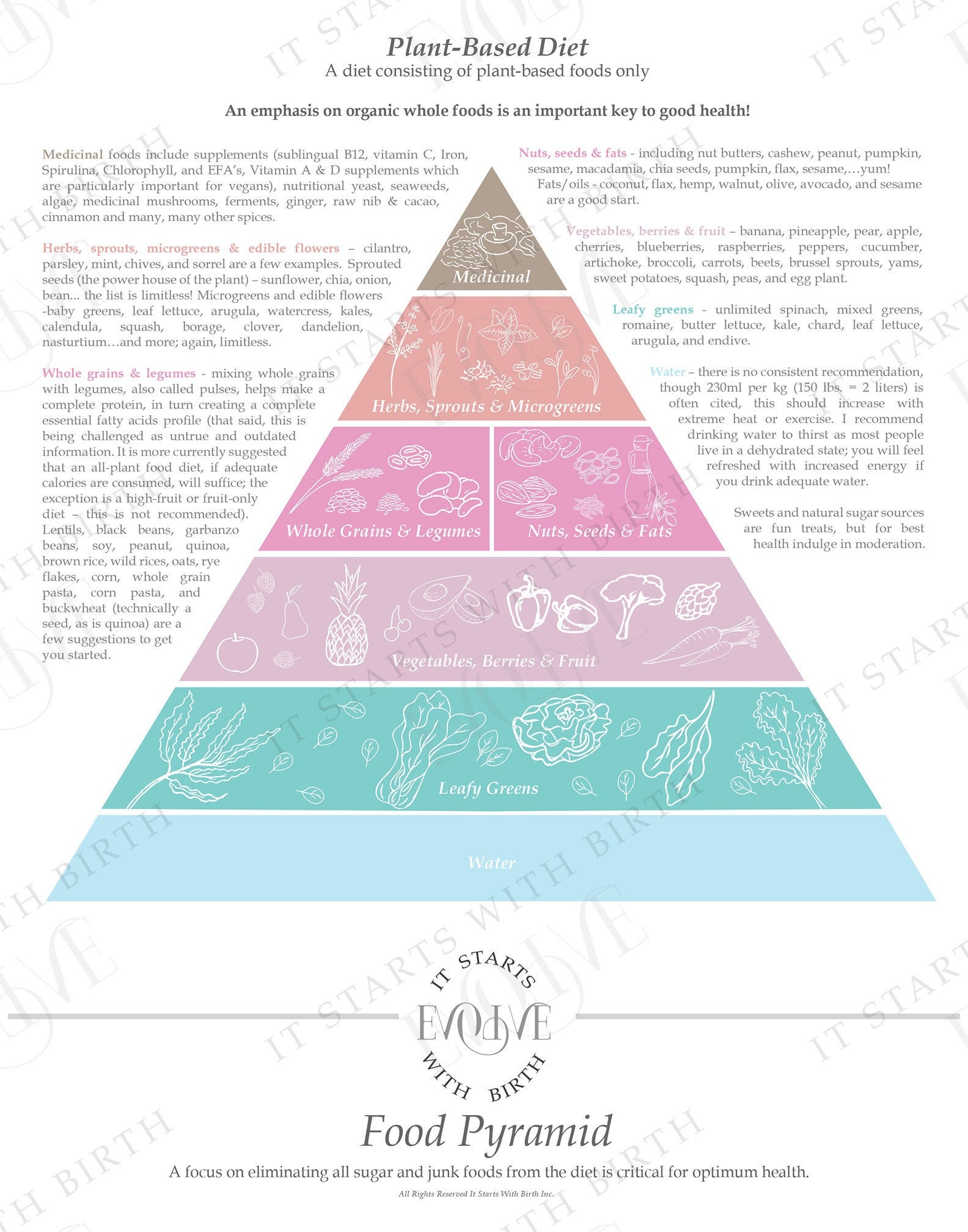 Plant Based Food Pyramid Designed for Parents Etsy