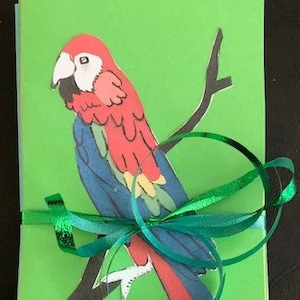 Jeu de cartes de vœux Red Macaw de 10 par Cherie