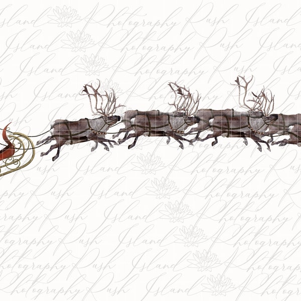 Realistic Santas Sleigh PNG, Santas Sleigh Overlay, Santas Sleigh for Composite Photography, Santa and his Reindeer with Sleigh PNG