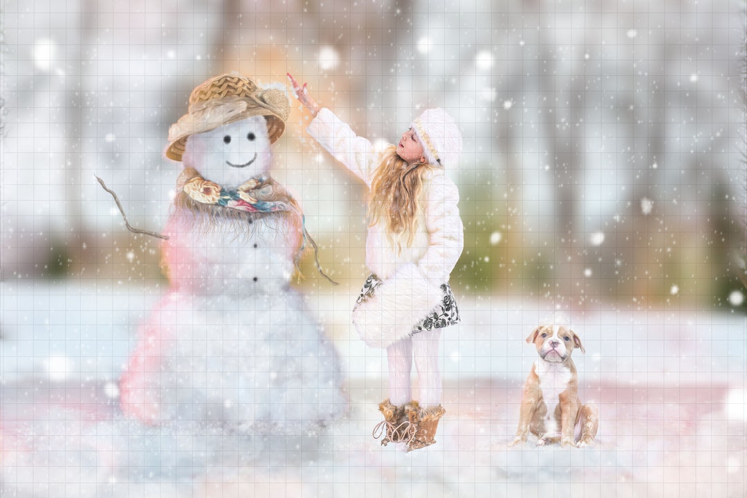 Mrs. Frosty the Snowman Digital Backdrop for Composite Photography