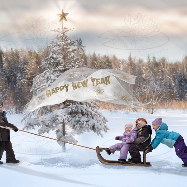 Happy New Year Digital Backdrop for Photography Digital Compositing