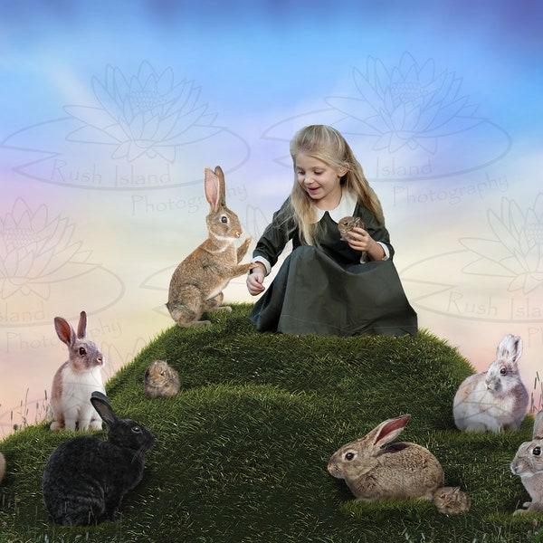Rabbit Hill Digital Backdrop for Composite Photography, Animal Backdrop, Easter Backdrop, Childrens Backdrop, Bunny Backdrop