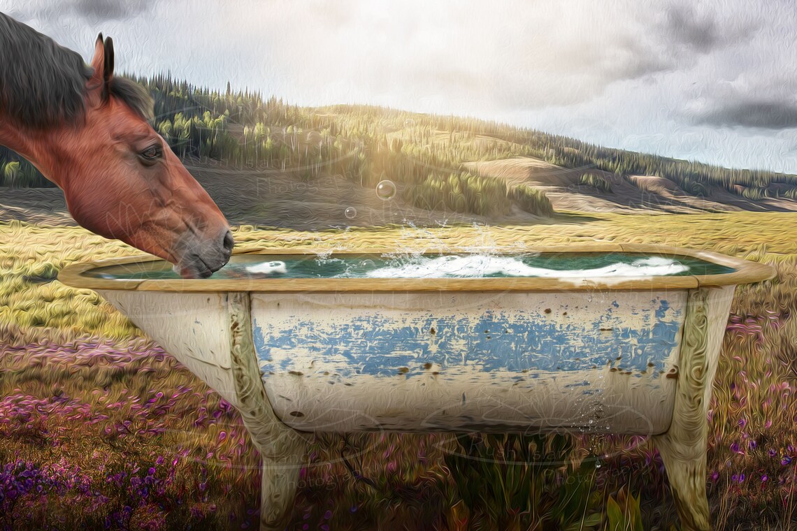 Old Fashioned Outdoor Western Bathtub Digital Backdrop Etsy