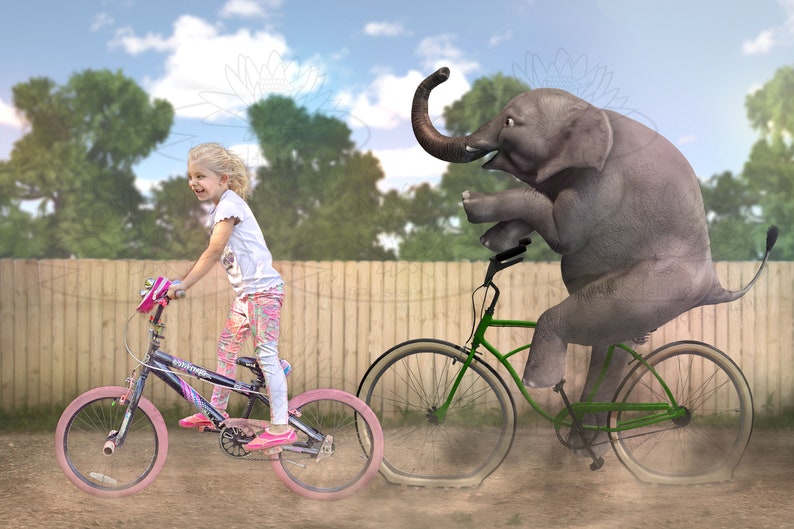Elmer Elephant Riding Bike Digital Backdrop for Composite