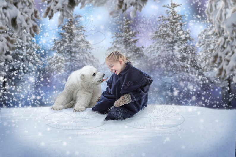 Baby Polar Bear in Winter Background Photography Digital | Etsy