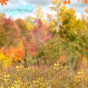 Colorful Fall Scene Digital Backdrop for Composite Photography with grass Overlay, Nature Backdrop