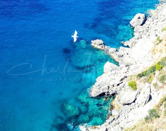 Italian coast with Seagull -- Canvas print mounted on wooden frame